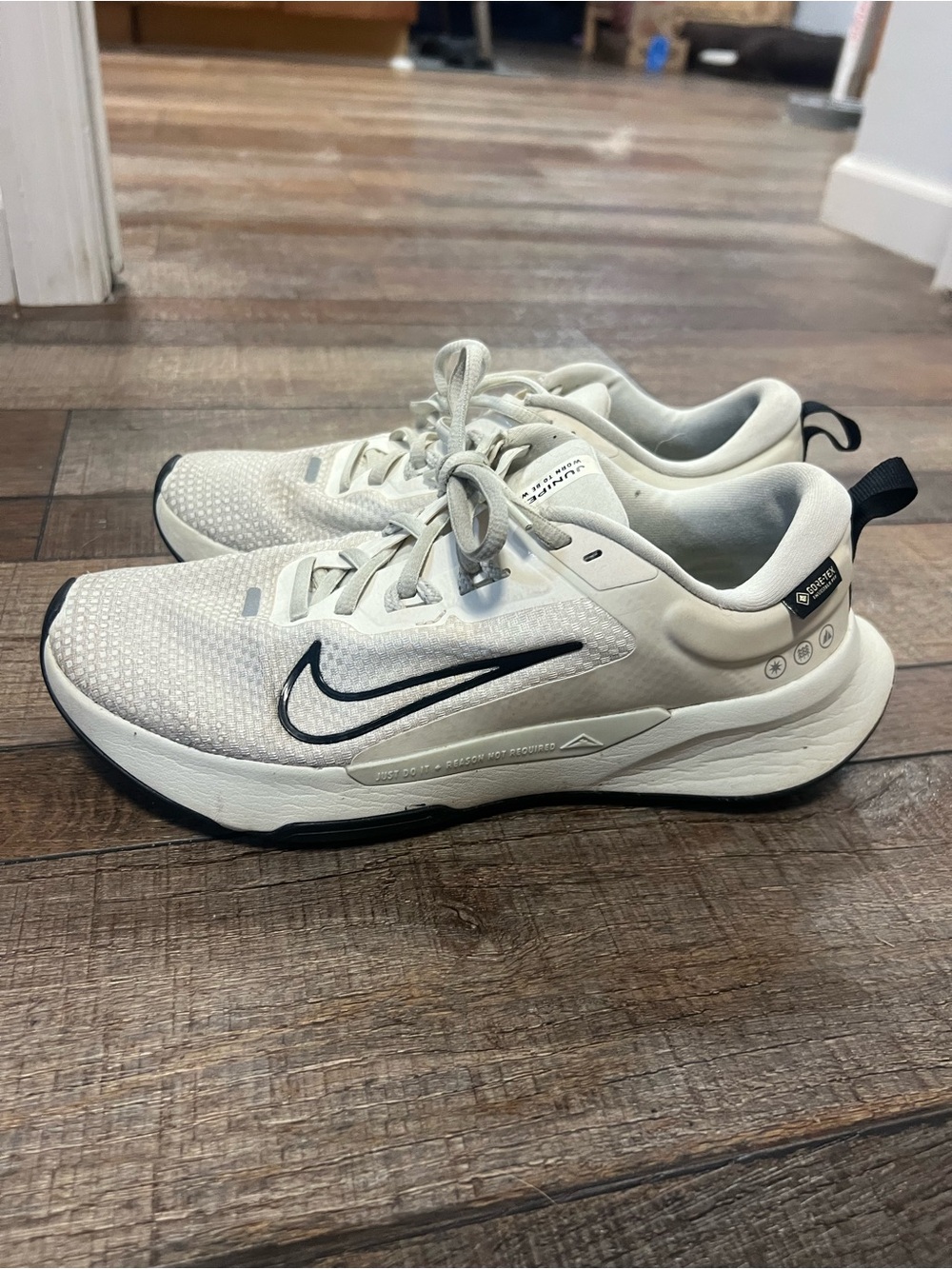 Nike Women’s Cream and Black Running Shoes